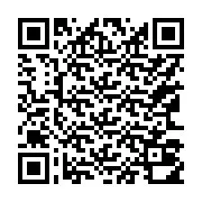 Código QR para número de telefone +17163010149