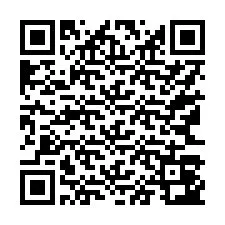 QR Code for Phone number +17163043838