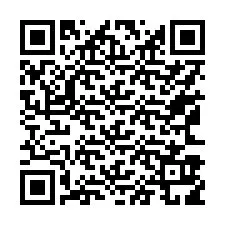 Código QR para número de telefone +17163919113