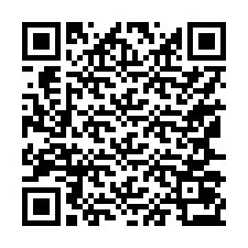 QR Code for Phone number +17167073376