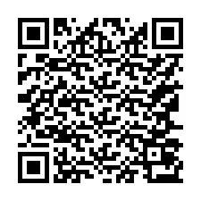 QR Code for Phone number +17167073379