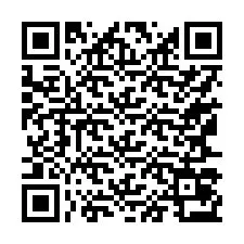 QR Code for Phone number +17167073476