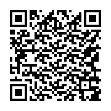 Código QR para número de telefone +17169385933