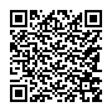 QR kód a telefonszámhoz +17183759799