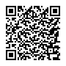 QR Code for Phone number +17187136547