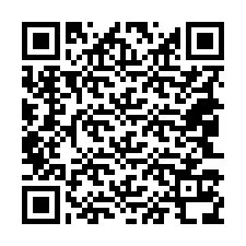 QR-Code für Telefonnummer +18043138167