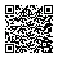 QR-code voor telefoonnummer +18052091381