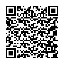 QR-code voor telefoonnummer +18052904570