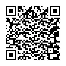 QR Code for Phone number +18065032509