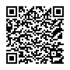 Codice QR per il numero di telefono +18137013641