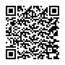 QR Code pour le numéro de téléphone +18137038632