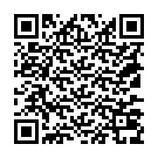 QR Code for Phone number +18137039114