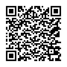 QR-код для номера телефона +18137039469