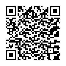 Codice QR per il numero di telefono +18137304005