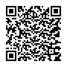 QR-код для номера телефона +18137304028