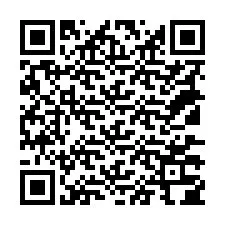 QR-код для номера телефона +18137304341