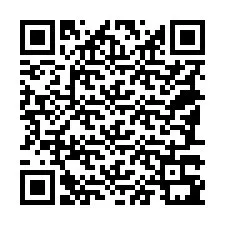 QR Code for Phone number +18187391828