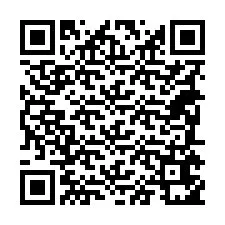 Código QR para número de telefone +18285651247