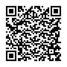 QR код за телефонен номер +18285759564