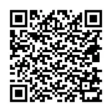 QR-code voor telefoonnummer +18438731114