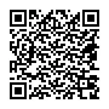 QR-Code für Telefonnummer +18453028028