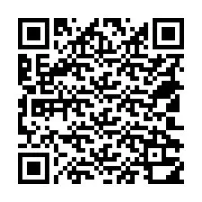 Codice QR per il numero di telefono +18502310210