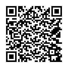 電話番号のQRコード +18502581333
