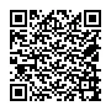 QR-code voor telefoonnummer +18509995973