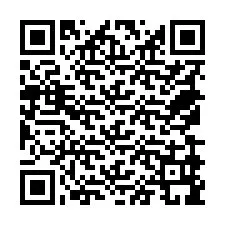 Codice QR per il numero di telefono +18579999029