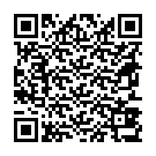 QR kód a telefonszámhoz +18653837900