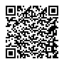 QR-code voor telefoonnummer +18654659065