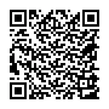 Codice QR per il numero di telefono +18655903059