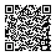 QR-Code für Telefonnummer +18789990810