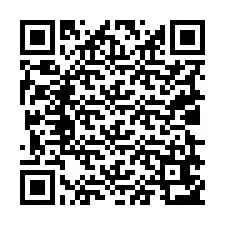 QR-код для номера телефона +19029653248