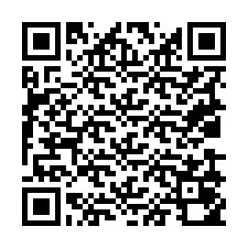 QR-Code für Telefonnummer +19039050119