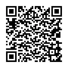 Código QR para número de telefone +19039951035