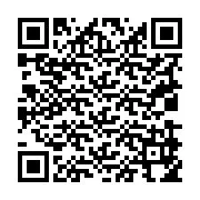 Codice QR per il numero di telefono +19039954210