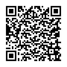 QR код за телефонен номер +19059065008