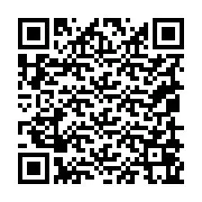 QR Code for Phone number +19059065151
