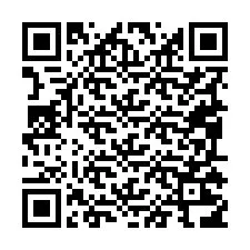 Código QR para número de telefone +19095216173