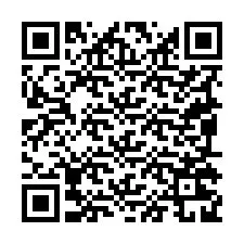 QR-код для номера телефона +19095229994