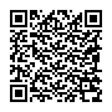 QR-code voor telefoonnummer +19095238484