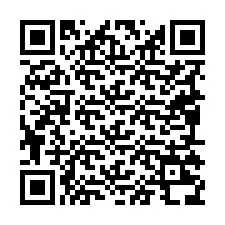 QR-code voor telefoonnummer +19095238486