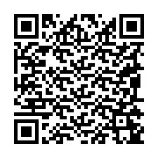 QR-code voor telefoonnummer +19095245174