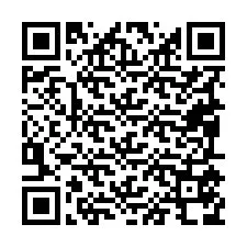 QR Code pour le numéro de téléphone +19095578067