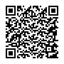 Código QR para número de telefone +19095603063