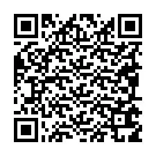 Codice QR per il numero di telefono +19095619132