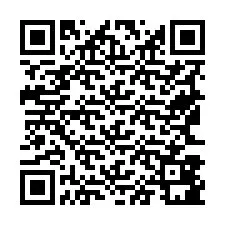 电话号码二维码 +19563881166