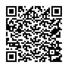 QR-code voor telefoonnummer +19739003663