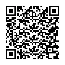電話番号のQRコード +19795338173